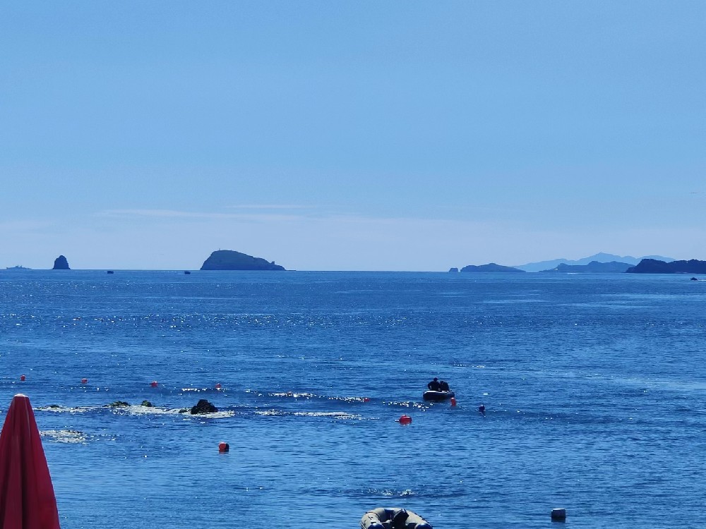 上海春季团建 上海春季踏青 上海团建活动策划